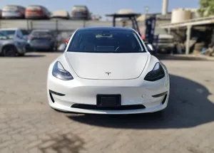Tesla Model 3 Standard Range Plus 2021 for Sale