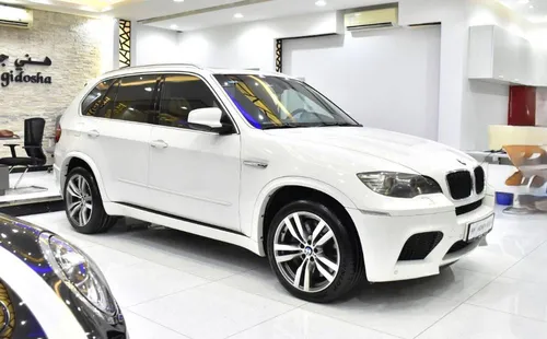 BMW iX5 2010