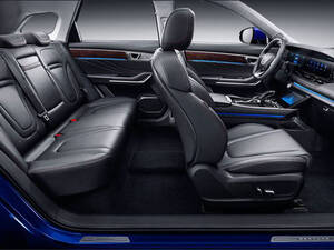 بيستون T99 الداخلية 