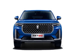 بيستون T99 الخارجية 