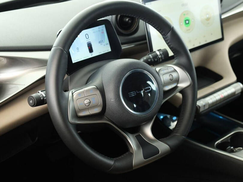 بي واي دي دولفين إي في 2025 الداخلية 