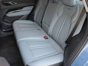 هونغ تشي HS3 الداخلية 