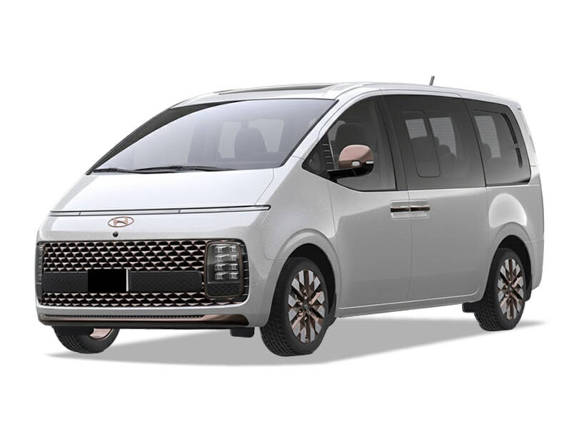 Shimmering Silver Metalic_#c9c9c9