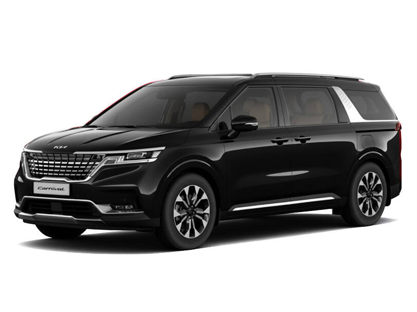 Aurora Black Pearl_#1c1b19