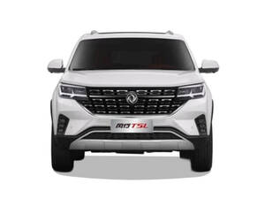 Forthing T5 L Exterior 